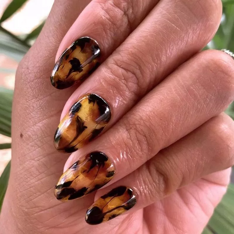Press-on tortoiseshell nails