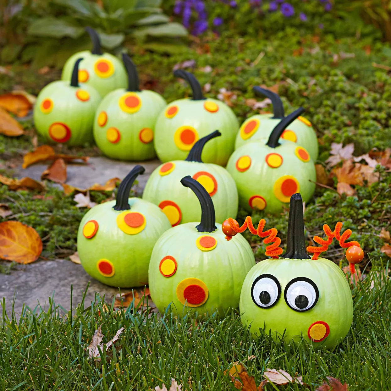 Caterpillar Pumpkin