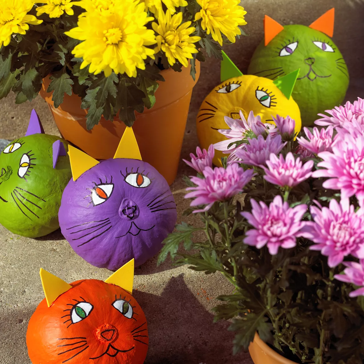 Halloween Pumpkin Cats