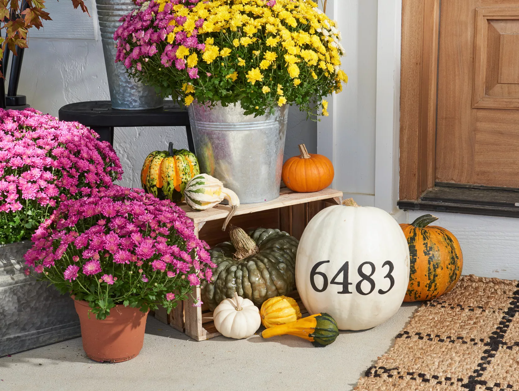 House Number Painted Pumpkin