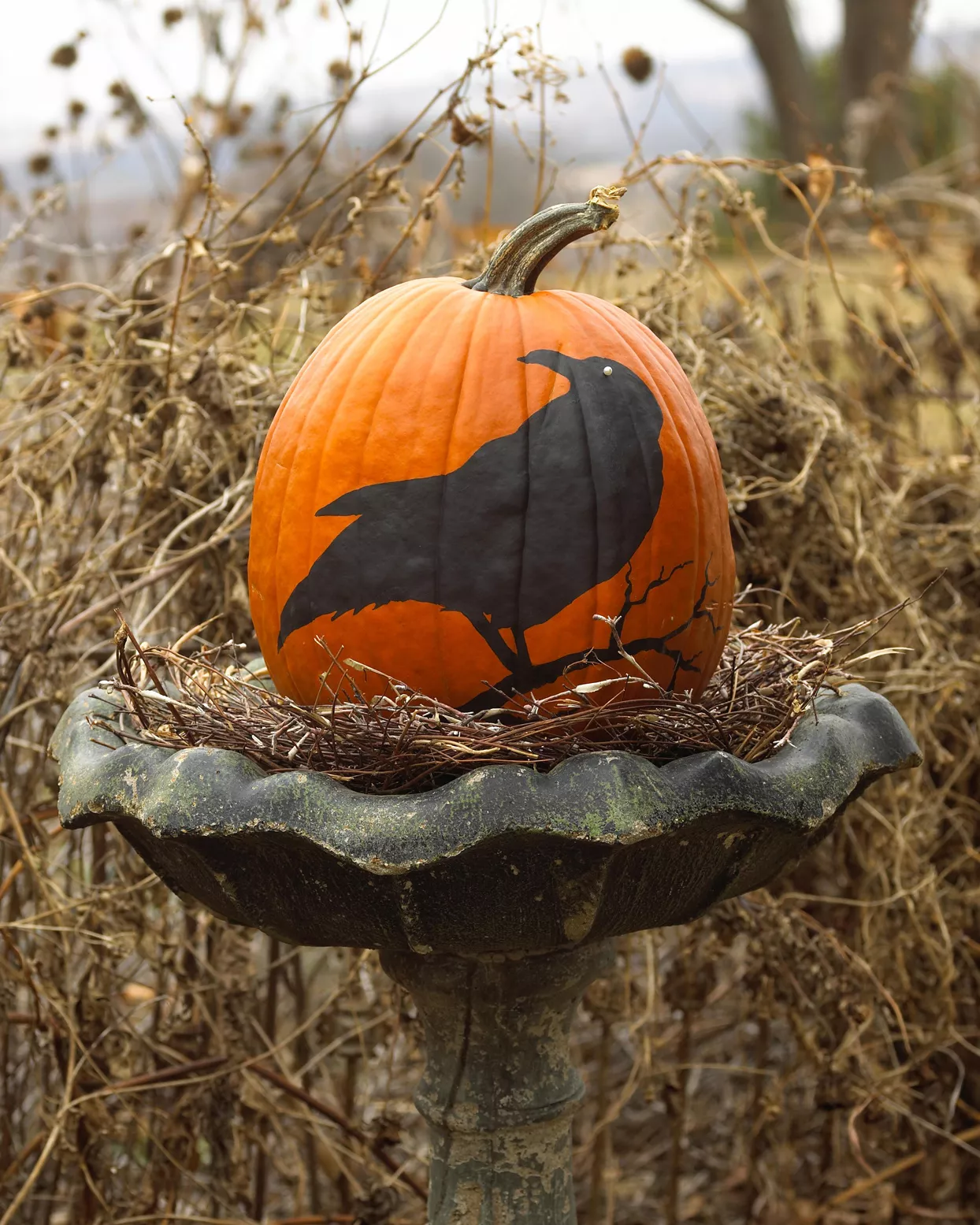 Pumpkin Painted Crow