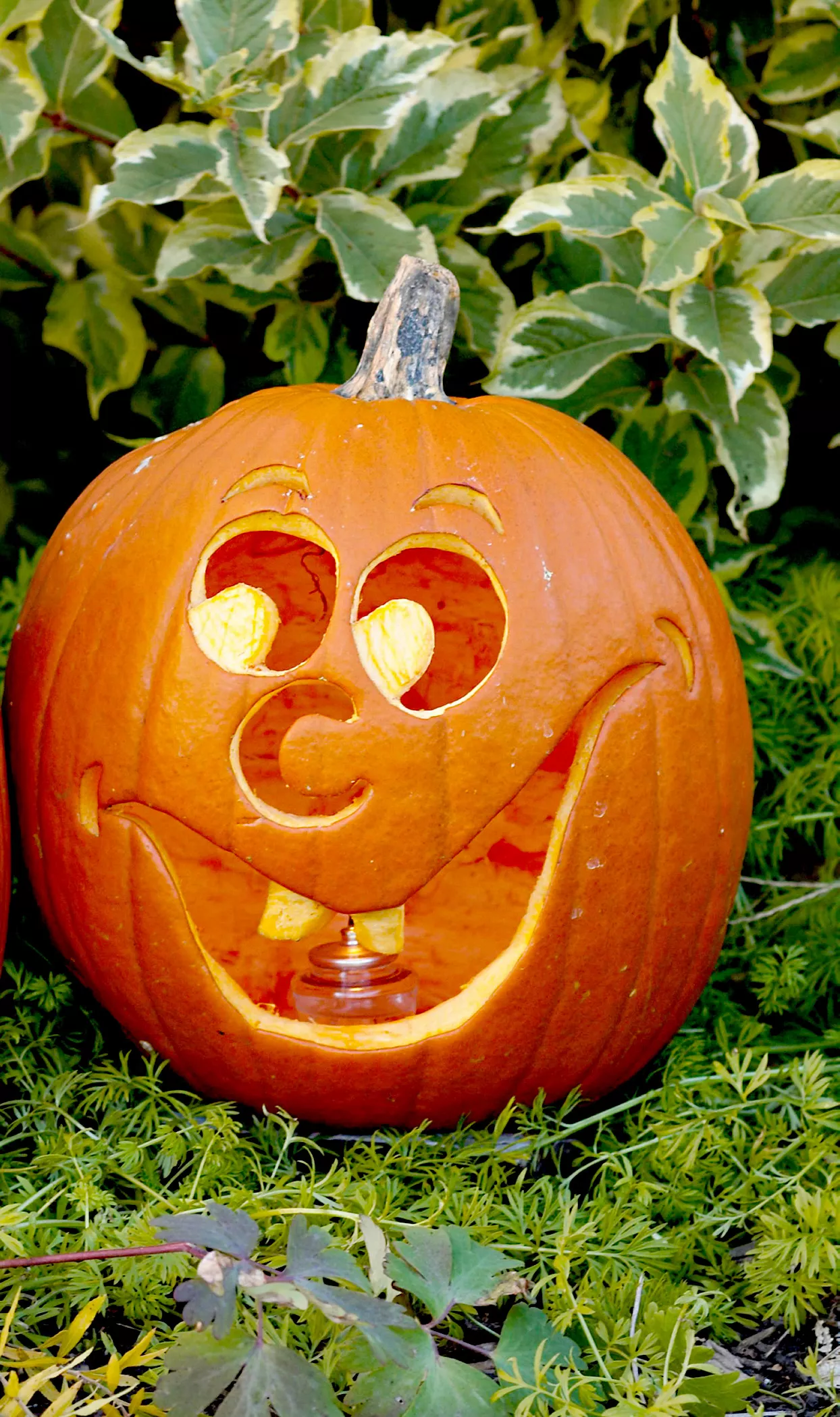 Pumpkins with face carving and candle