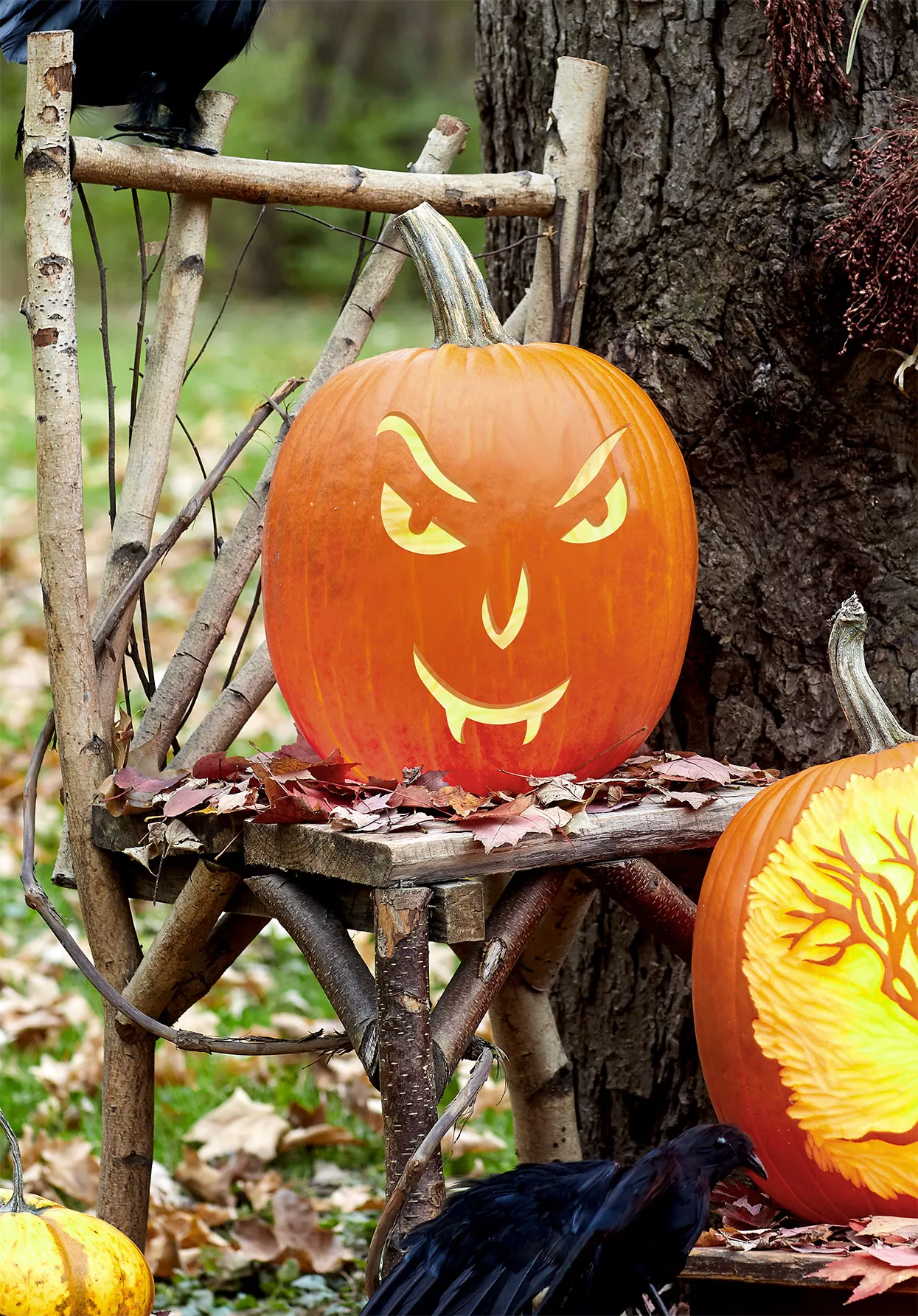 sly vampire carved pumpkin with faux ravens