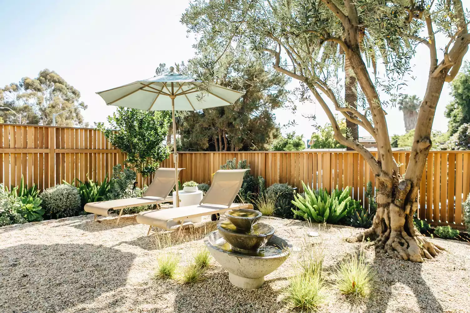Zen garden back yard with fountain